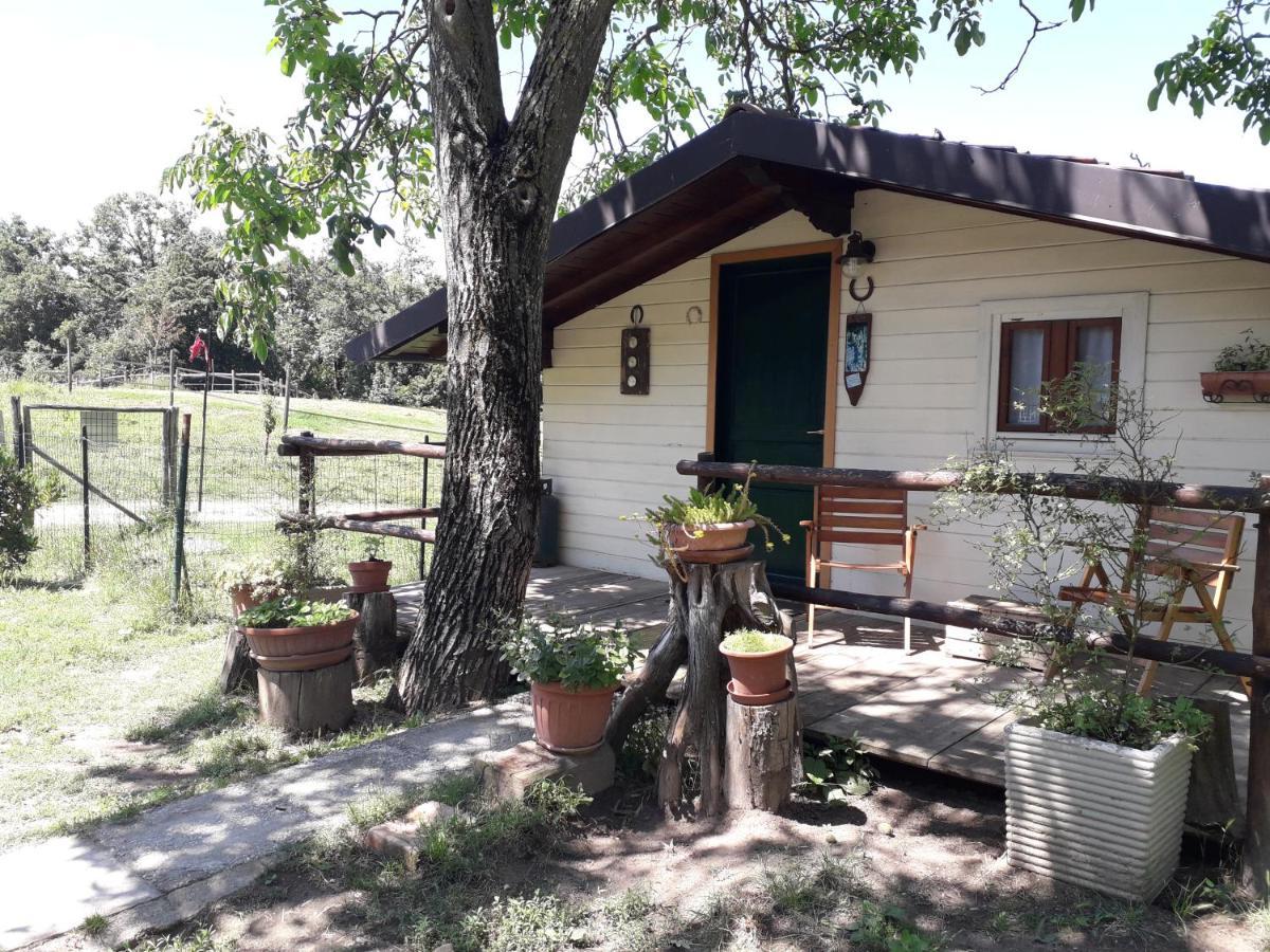 مبيت وإفطار بيانورو Il Casalino المظهر الخارجي الصورة